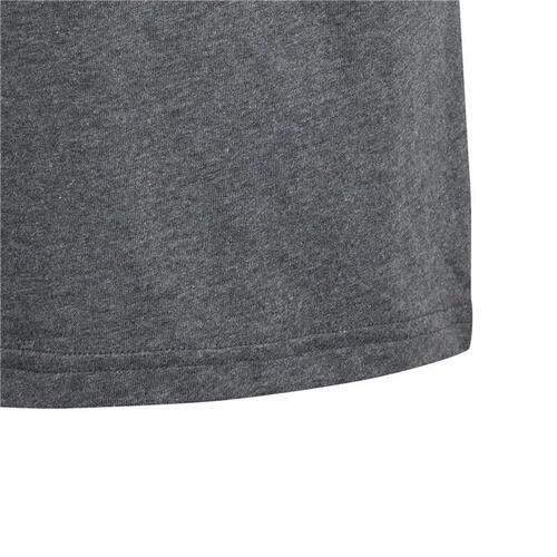 Børne Kortærmet T-shirt Adidas Essentials Big Logo Grå 15-16 år