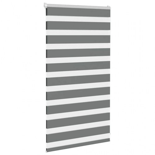 Zebragardin mørkegrå 75 x 100 cm