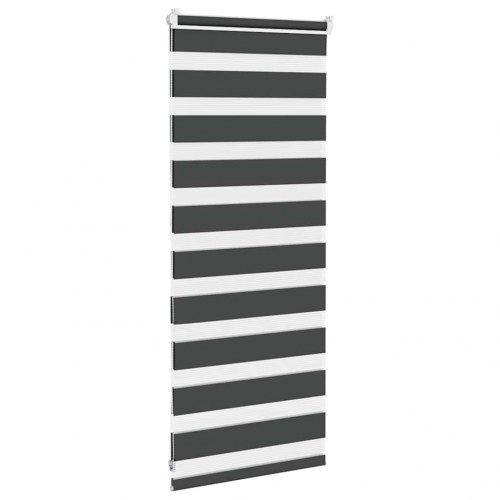 Zebragardin sort 65 x 100 cm