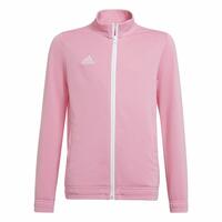 Sportsjakke til børn Adidas Ent22 Pink 13-14 år