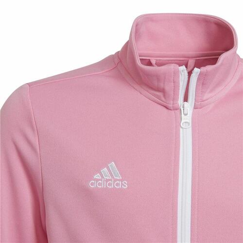 Sportsjakke til børn Adidas Ent22 Pink 13-14 år