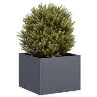 Plantekasse 40x40x30 cm stål antracitgrå