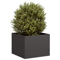 Plantekasse 40x40x30 cm stål sort