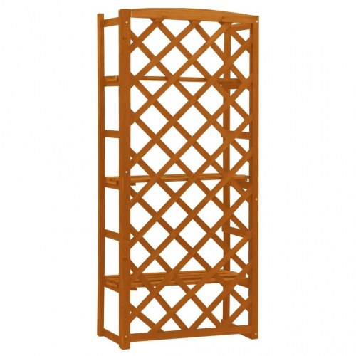 Plantestativ med espalier 60x30x140 cm massivt fyrretræ orange