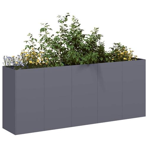 Plantekasse 200x40x80 cm koldvalset stål antracitgrå