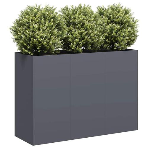 Plantekasse 120x40x80 cm koldvalset stål antracitgrå