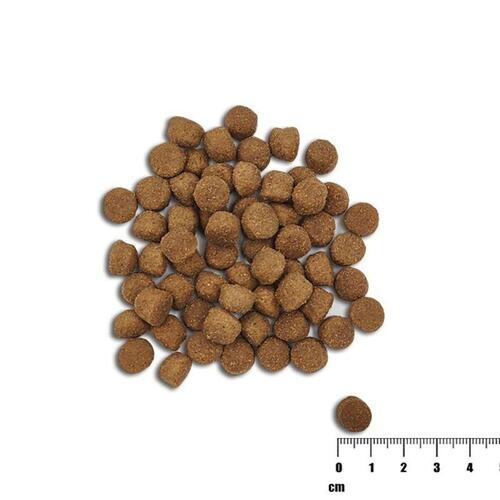 Foder VETEXPERT Laksefarvet 10 kg