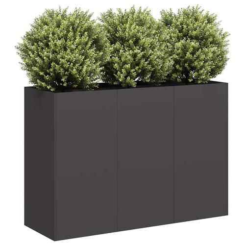 Plantekasse 120x40x80 cm koldvalset stål sort