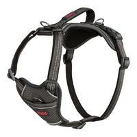 Hundesele Company of Animals Grå XS 20-32 cm
