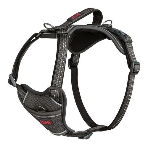 Hundesele Company of Animals Grå XS 20-32 cm