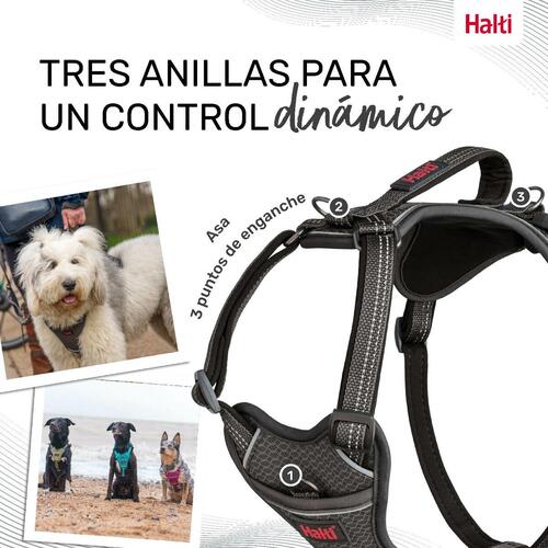 Hundesele Company of Animals Grå XS 20-32 cm