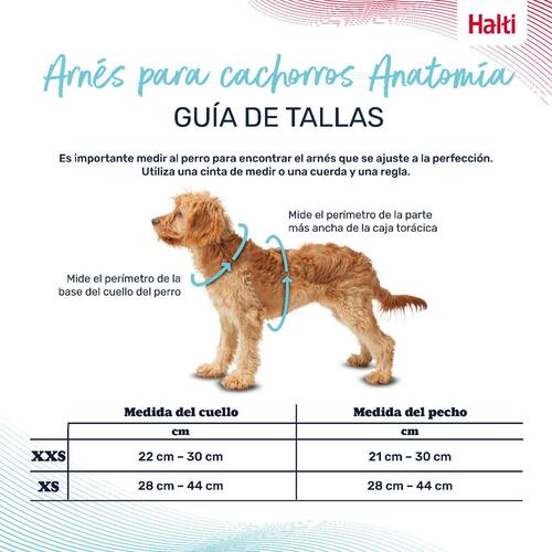 Hundesele Company of Animals Grå XXS 22-30 cm