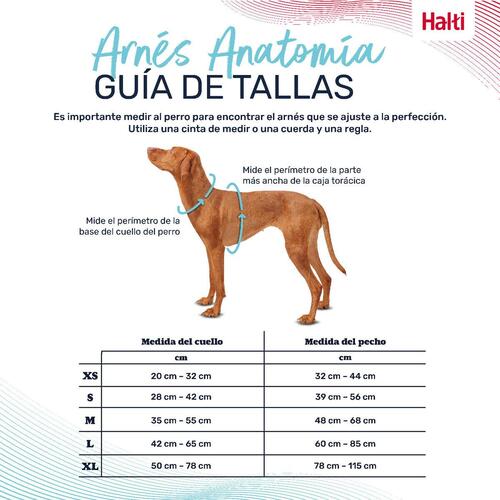 Hundesele Company of Animals Grøn XS 20-32 cm