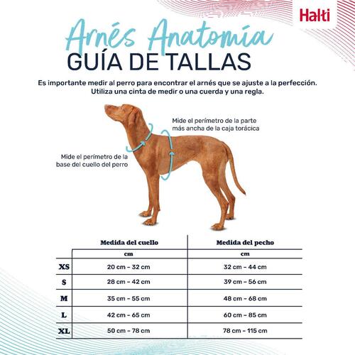 Hundesele Company of Animals Turkisblå XL 50-78 cm