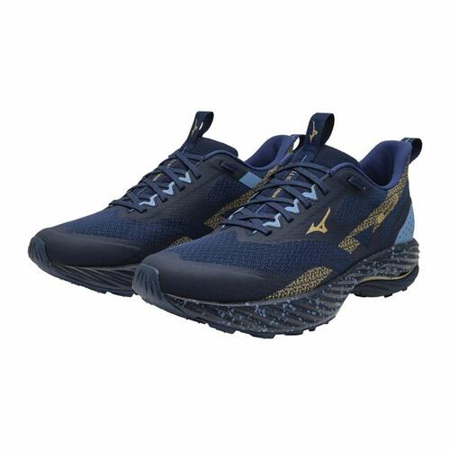 Herre sneakers Mizuno Wave Rider Tt 2 Blå 45