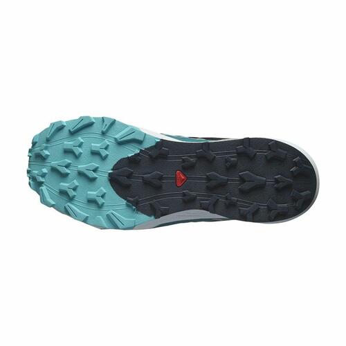 Herre sneakers Salomon Thundercross Blå Grå 44