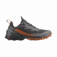 Herre sneakers Salomon Cross Over 2 Gore Sort 46