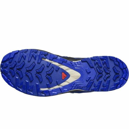 Herre sneakers Salomon XA Pro 3D V9 Blå 46