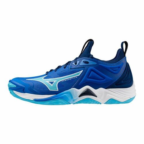 Herre sneakers Mizuno Wave Momentum 3 Blå Volleyball 43