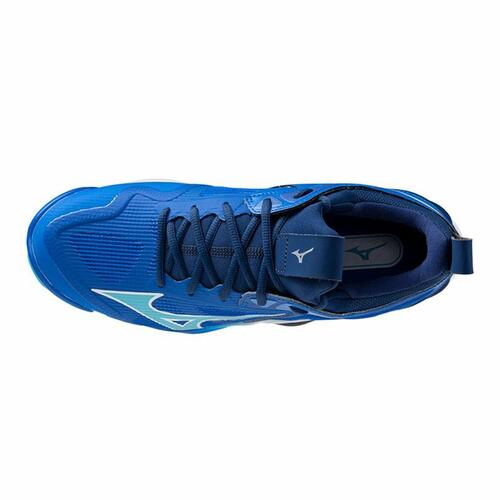 Herre sneakers Mizuno Wave Momentum 3 Blå Volleyball 43