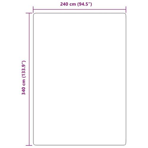 Shaggy gulvtæppe NAVARRA 240x340 cm høje luv polyester beige