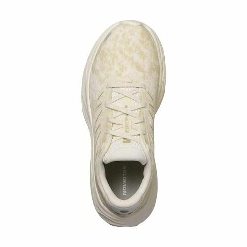 Løbesko til voksne Salomon Aero Glide 2 Beige Dame 38 2/3