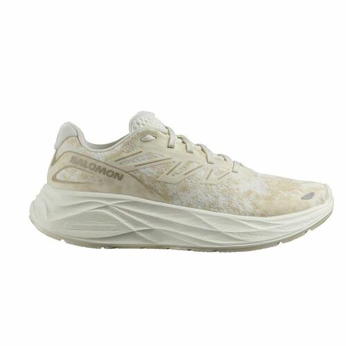 Løbesko til voksne Salomon Aero Glide 2 Beige Dame 38