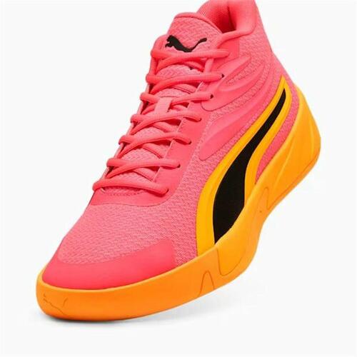 Basketballsko til voksne Puma Court Pro Gul 45