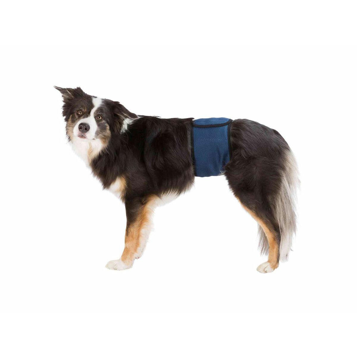 Fastgørelsesbånd Trixie 55-65 cm Han-stik Mave