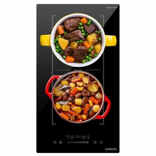 Induktionsplade Oceanic OCEATI2Z2BF 18 cm 3600 W