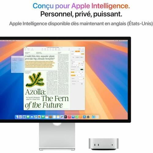 Mini PC Apple Mac Mini 16 GB RAM 256 GB SSD M4