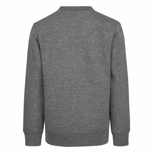 Sweaters uden Hætte til Børn Nike Grå 7 år
