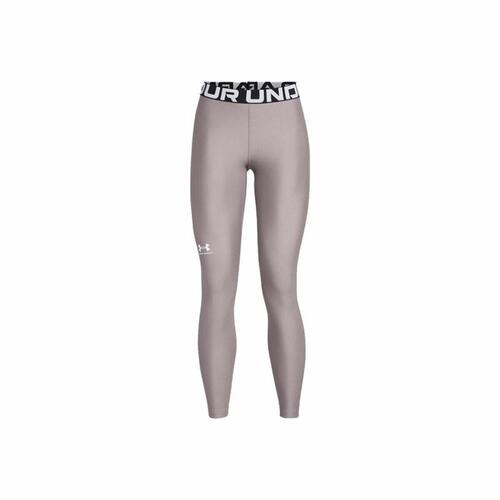 Sport leggings til kvinder Under Armour Hg Authentics Grå S