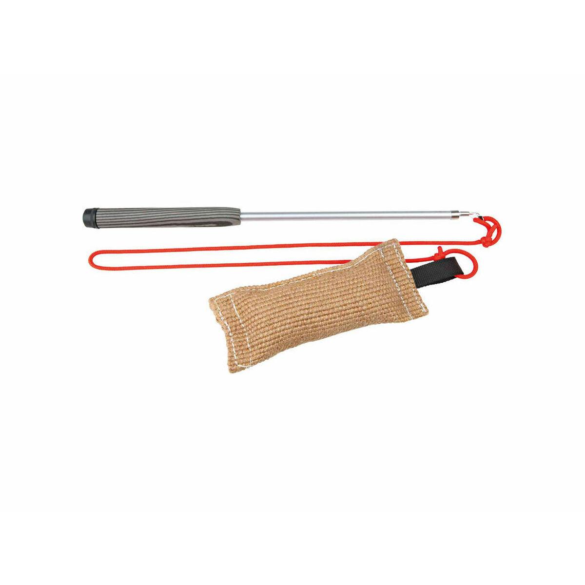 Legetøj til hunde Trixie billede