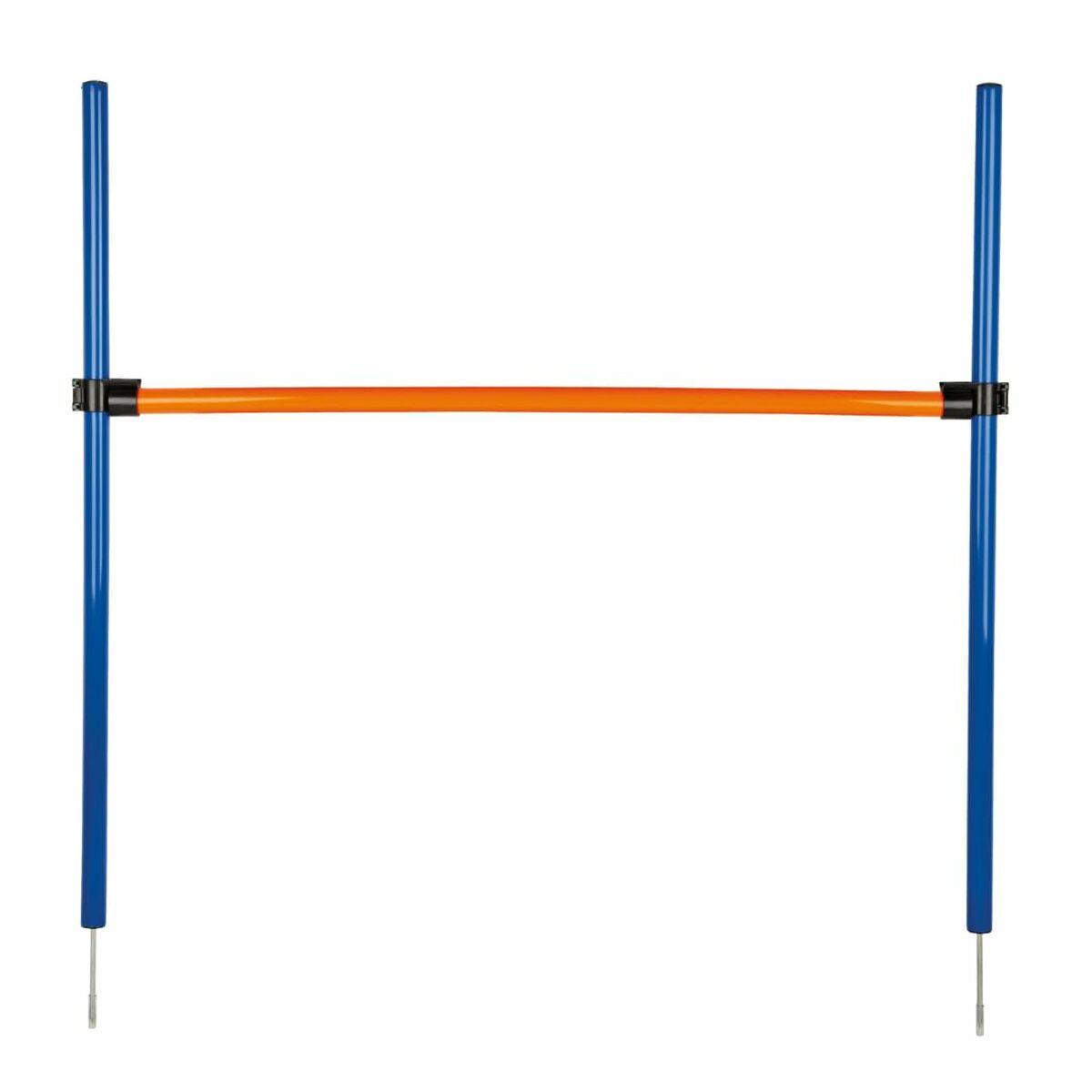 Træningslegetøj Trixie billede