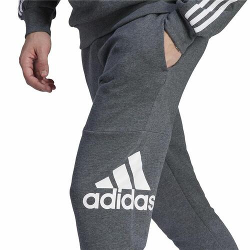 Træningsdragt til voksne underdele Adidas Bl Fl Tc Pt Mænd M