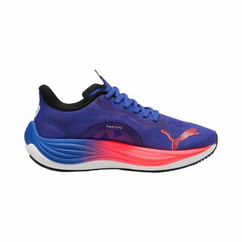 Løbesko til voksne Puma Velocity Nitro 3 Wn Dame 41