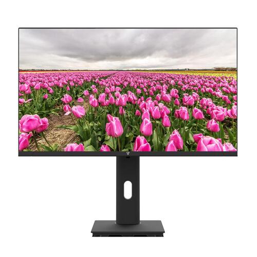 Skærm V7 L238V0-HAS-E Full HD 23,8"