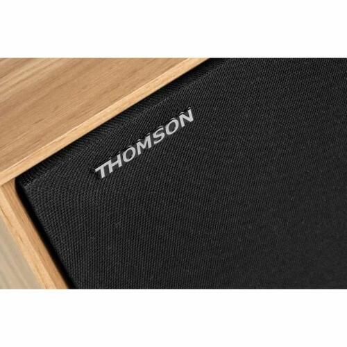 Transportabel højttaler Thomson WS502 Sort Beige 100 W