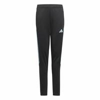 Træningsbukser til Børn Adidas Tiro23 Cbtr 15-16 år