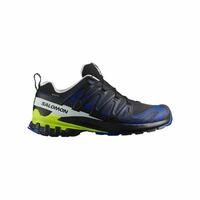 Herre sneakers Salomon XA PRO 3D V9 GTX Sort 40