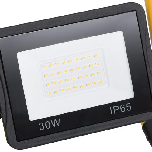 LED-projektør med håndtag 30 W koldt hvidt lys