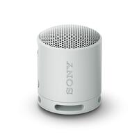 Transportable Bluetooth-højttalere Sony SRSXB100H.CE7 Grå