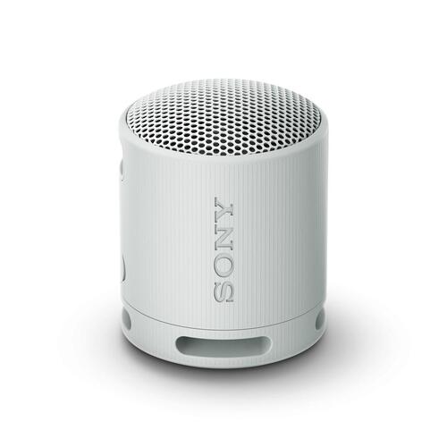 Transportable Bluetooth-højttalere Sony SRSXB100H.CE7 Grå