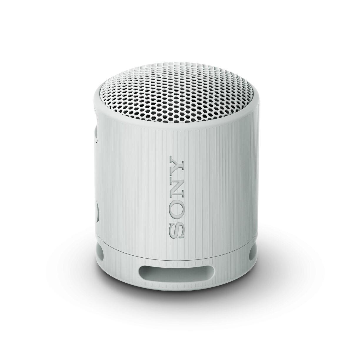 Transportable Bluetooth-højttalere Sony SRSXB100H.CE7 Grå