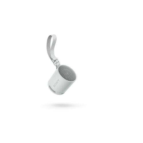 Transportable Bluetooth-højttalere Sony SRSXB100H.CE7 Grå