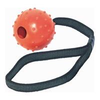 Hund Bidering Gloria Med streng Gummi (6 cm) (6 x 30 cm)
