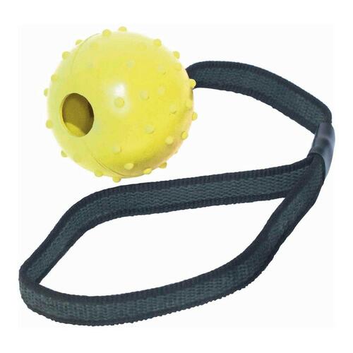 Hund Bidering Gloria Med streng Gummi (6 cm) (6 x 30 cm)