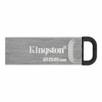 USB-stik Kingston Sort 256 GB