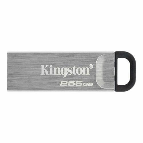 USB-stik Kingston Sort 256 GB
